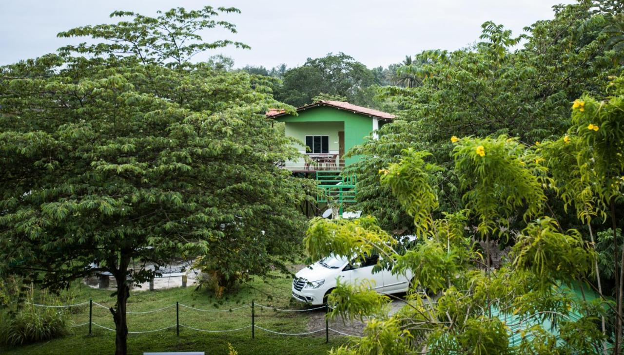 The Midway Jungle Resort Masinagudi Exterior photo